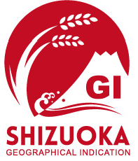 Shizuoka GI